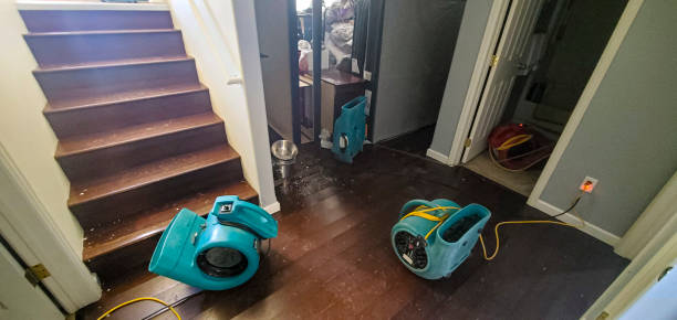 Best Emergency water damage restoration  in Dasher, GA