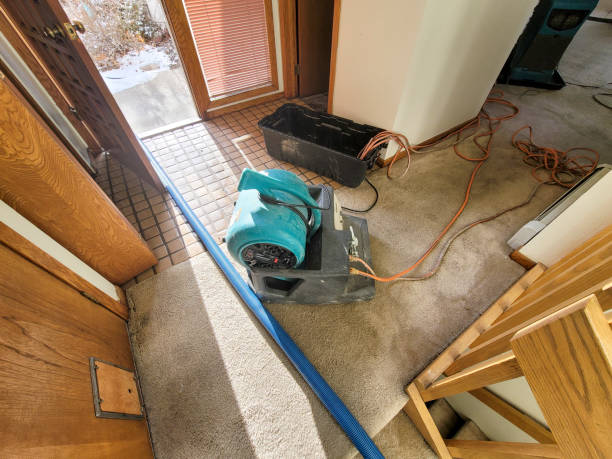 Best Residential water damage restoration  in Dasher, GA