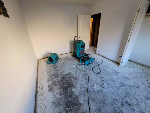 Best Professional water damage repair  in Dasher, GA