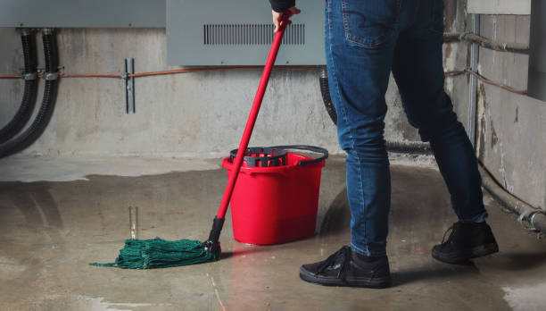 Carpet water damage restoration in Dasher, GA
