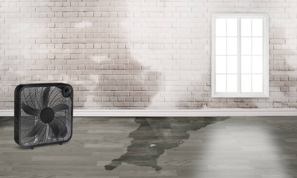 Local water damage restoration in Dasher, GA