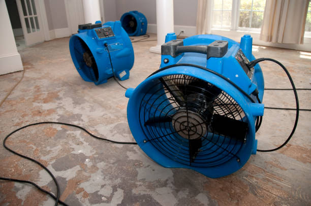 Best Emergency water damage restoration  in Dasher, GA