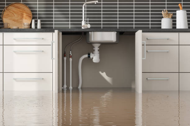 Best Water damage restoration cost  in Dasher, GA